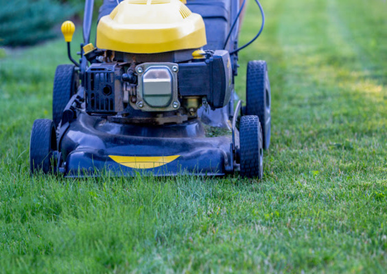 fremont lawn mowing 564x400